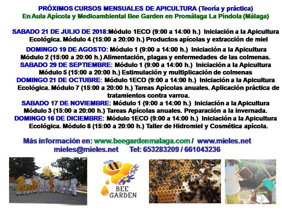 Cursos Bee Garden Málaga 2º semestre